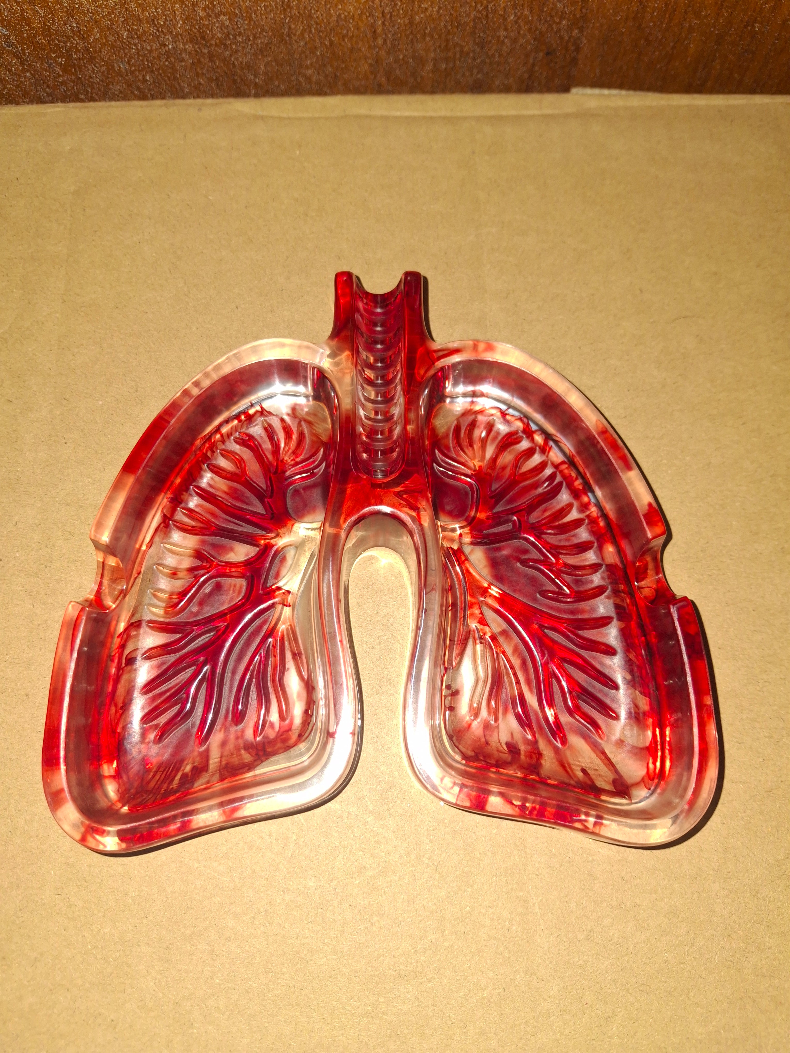 Lung ashtray
